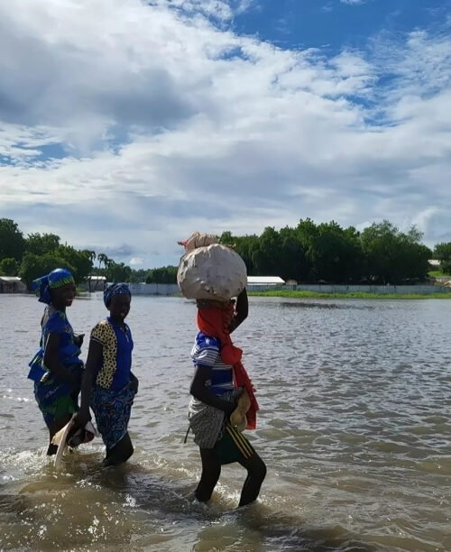 Emergency food assistance (1)